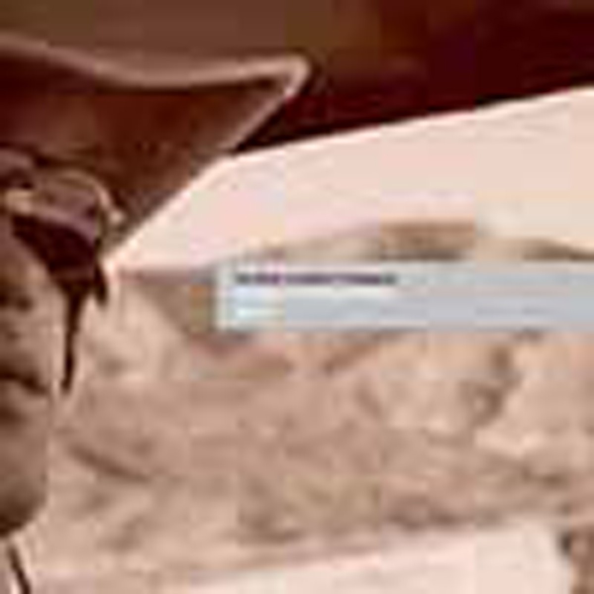 The Brian Jonestown Massacre - Bringing It All Back Home Again