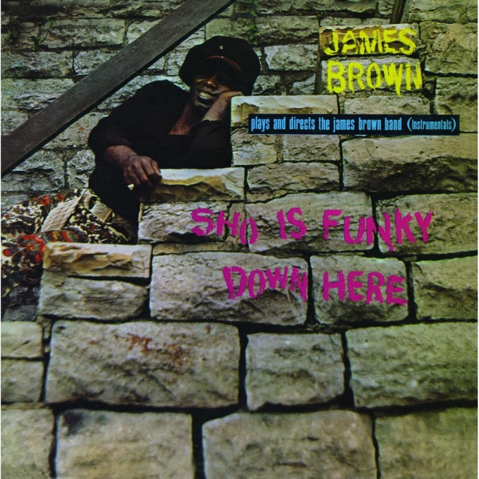James Brown - Sho Is Funky Down Here