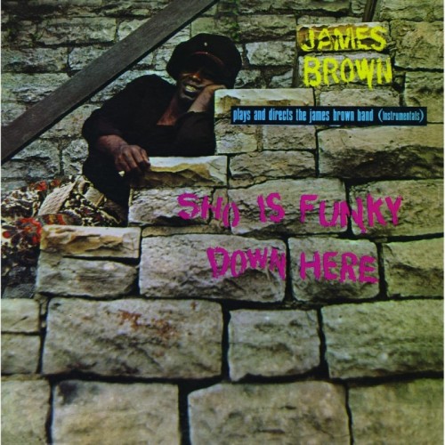 James Brown - Sho Is Funky Down Here