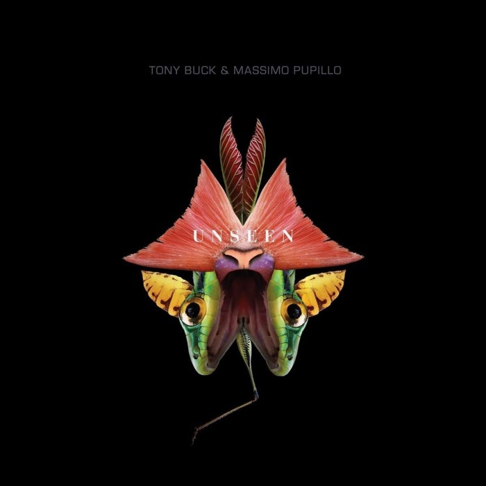 Tony Buck & Massimo Pupillo - Unseen