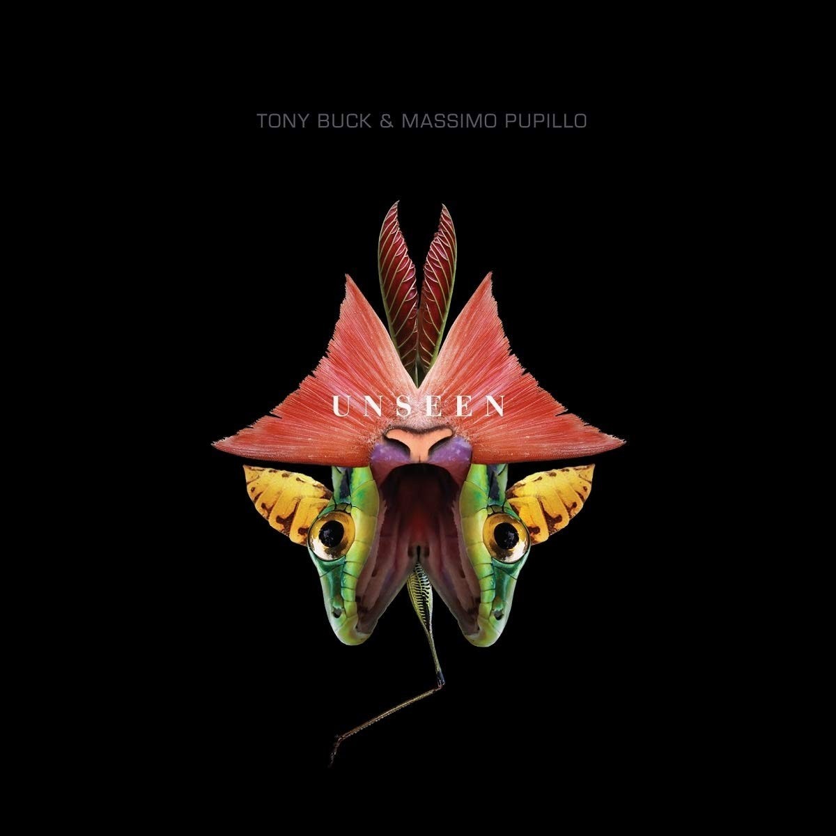 Tony Buck & Massimo Pupillo - Unseen