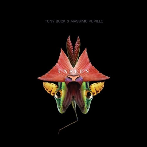 Tony Buck & Massimo Pupillo - Unseen