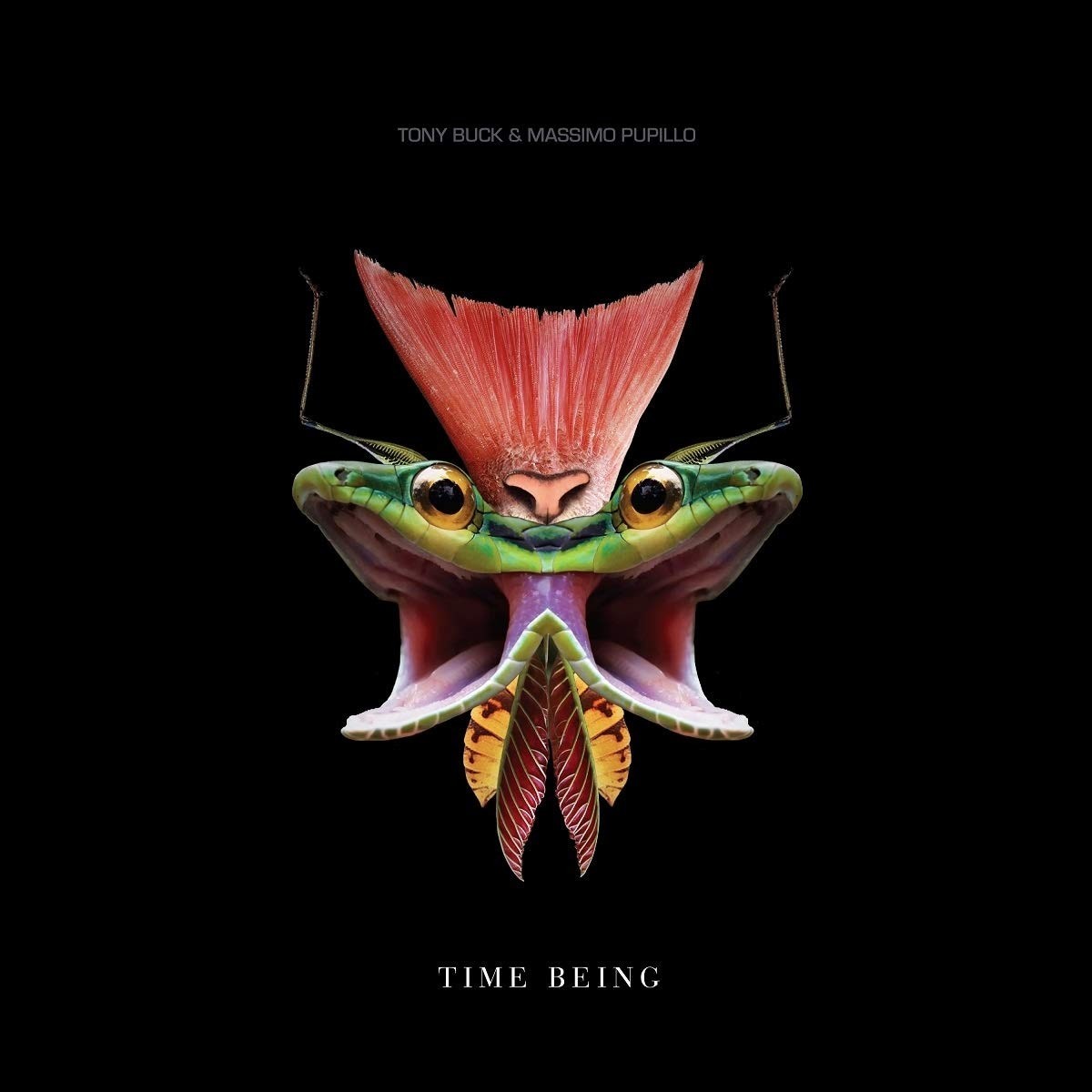 Tony Buck & Massimo Pupillo - Time Being