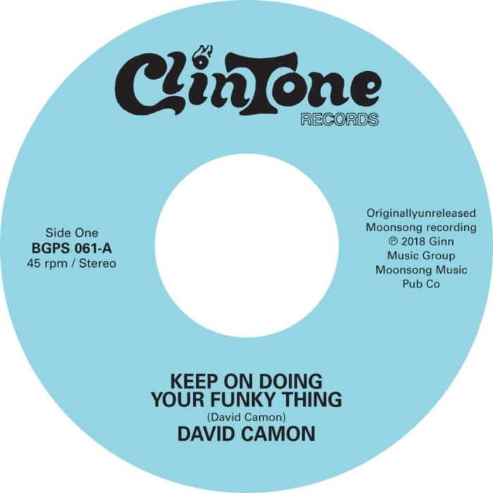 David Camon - Keep On Doing Your Funky Thing
