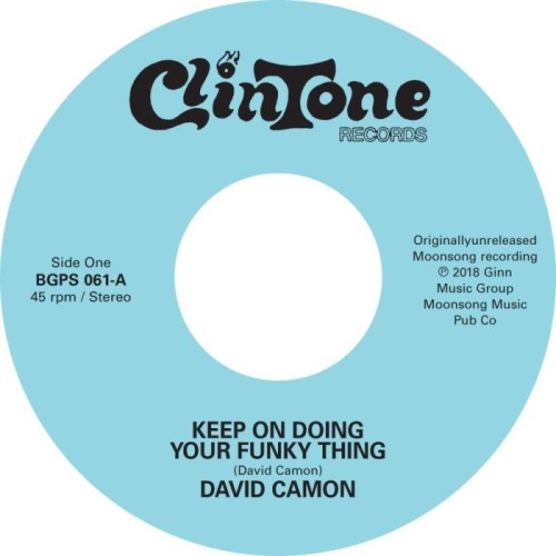 David Camon - Keep On Doing Your Funky Thing