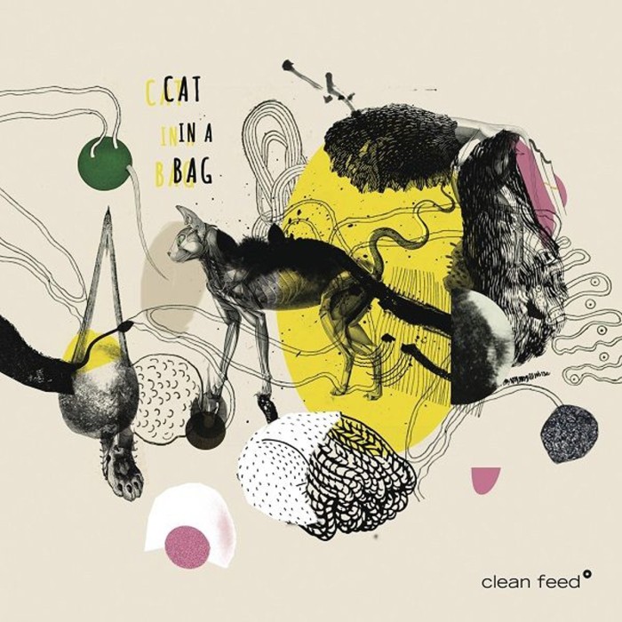 Cat In A Bag - Cat In A Bag