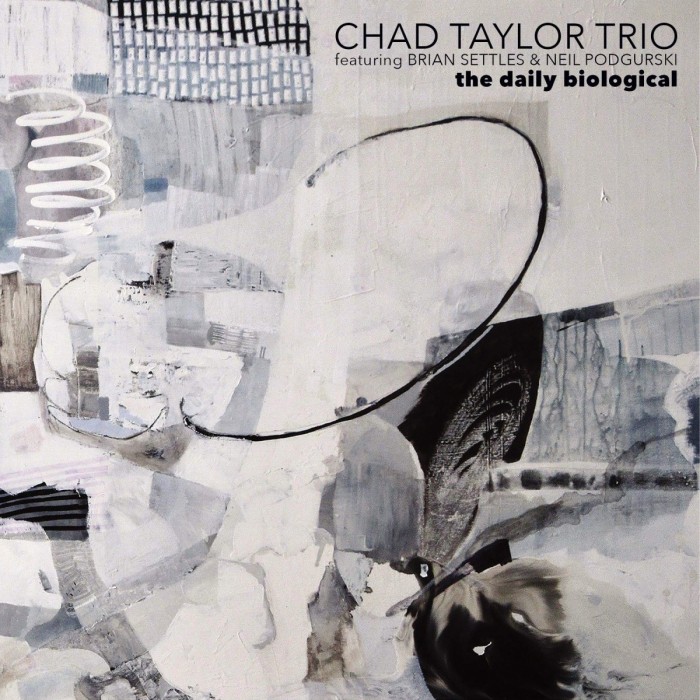 Chad Taylor Trio feat. Brian Settles & Neil Podgurski - Daily Biological