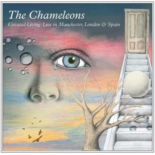 Chameleons - Elevated Living