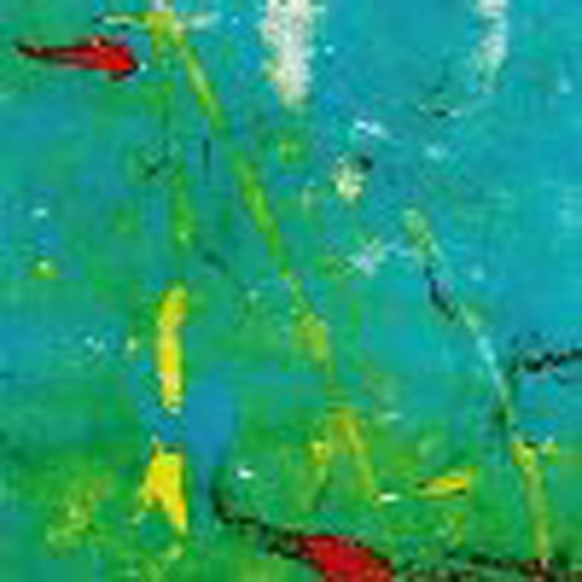 Xavier Charles & Terrie Ex - Addis