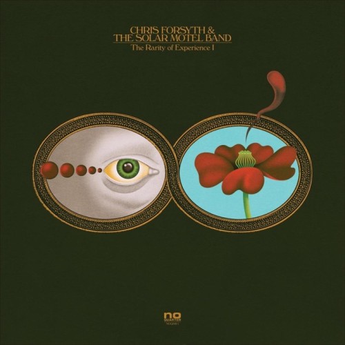 Chris Forsyth & The Solar Motel Band - Rarity Of Experience