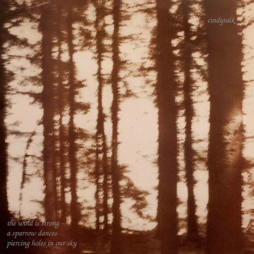 Cindytalk - Wind Is Strong...