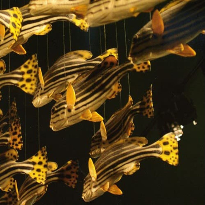 City Center - City Center