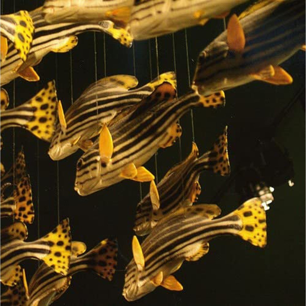 City Center - City Center