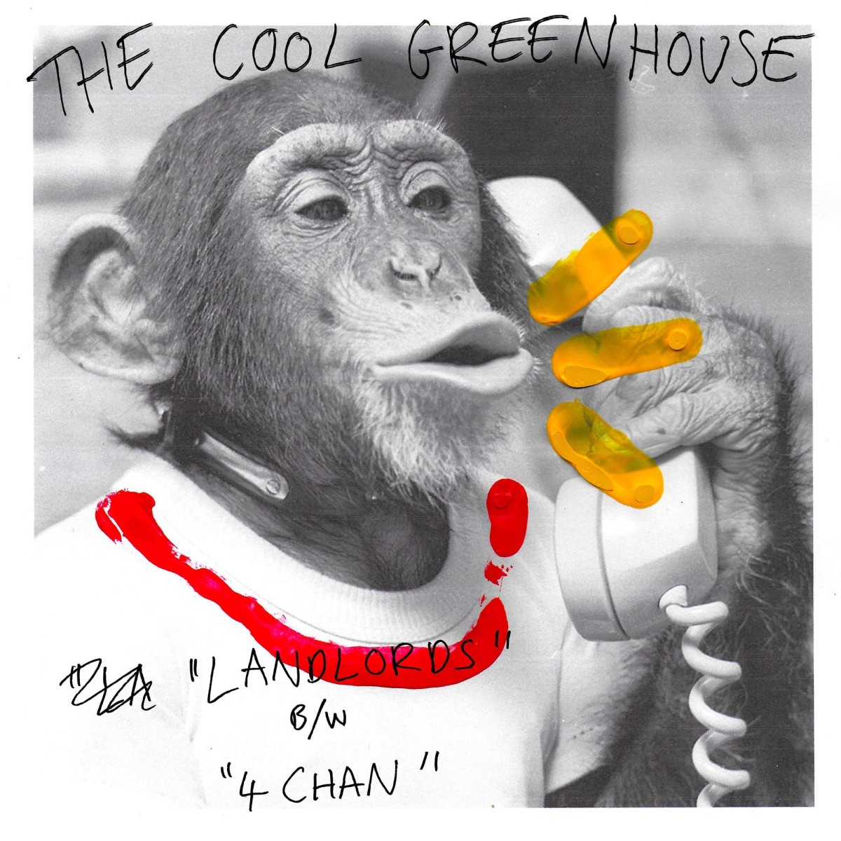 The Cool Greenhouse - Landlords / 4 Chan