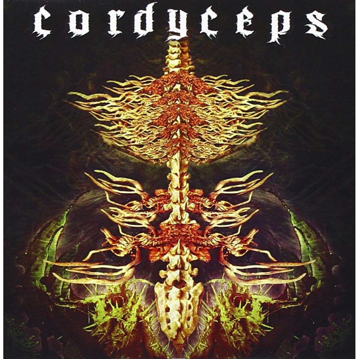 Cordyceps - Cordyceps