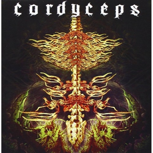Cordyceps - Cordyceps
