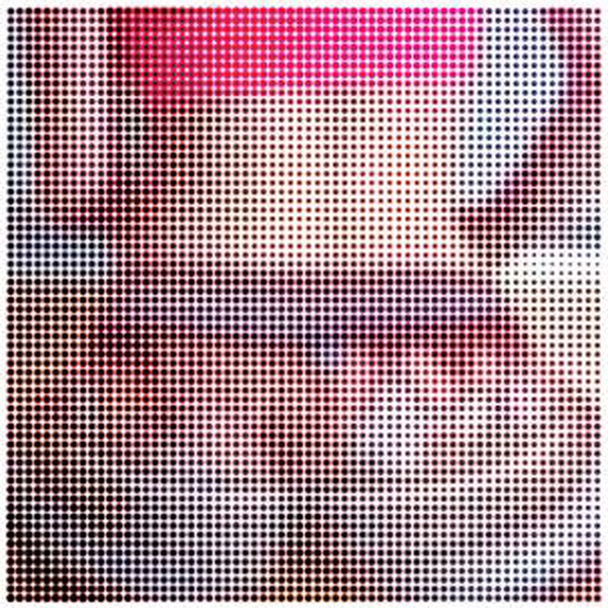 Coyote Clean Up - 2 Hot 2 Wait