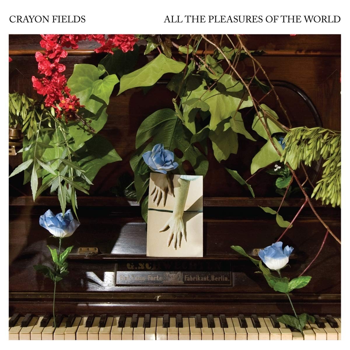 Crayon Fields - All The Pleasures Of The World (Deluxe Edition)