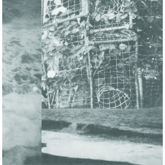 Cremation Lily - Processes And Instruments Of Normal People