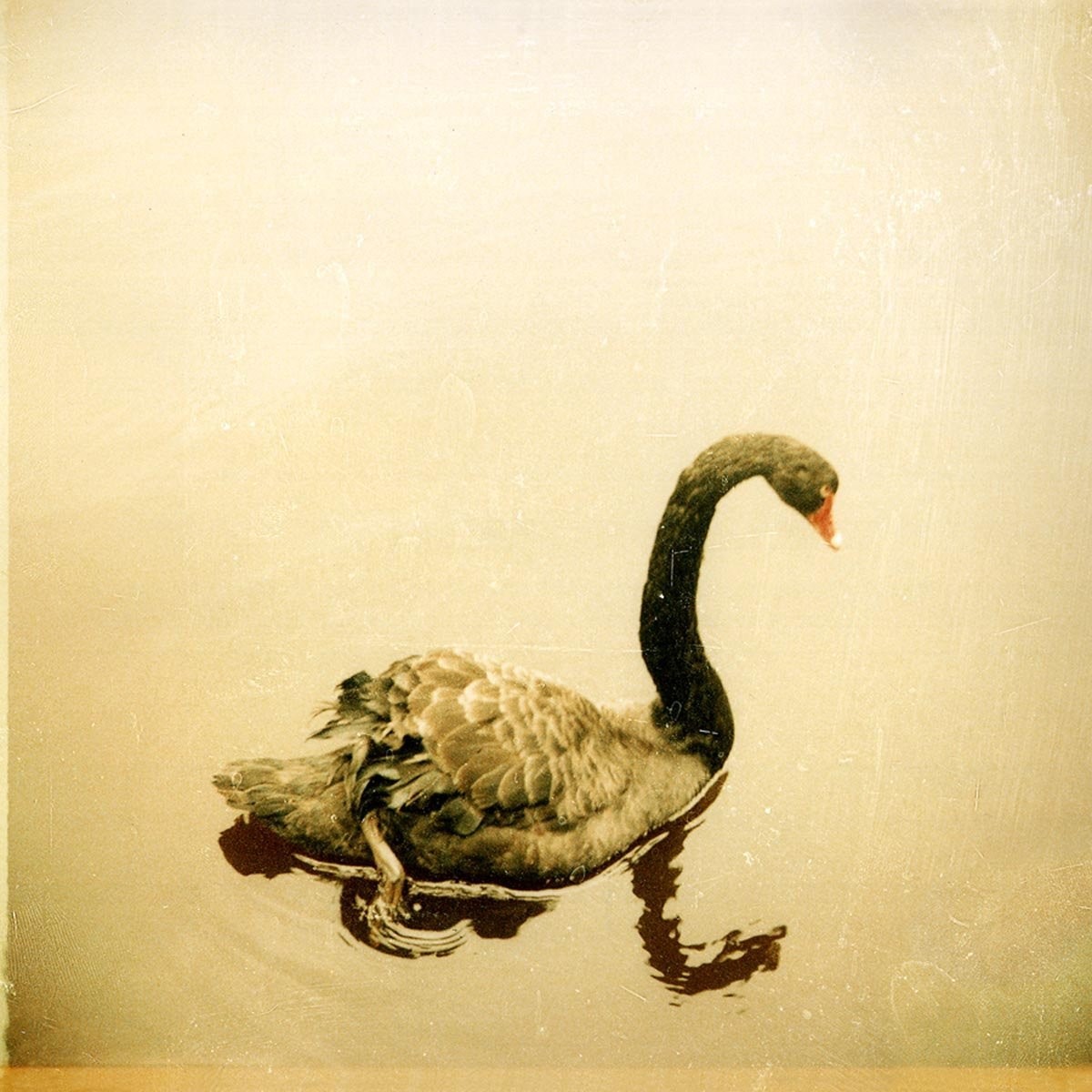 Crooked Fingers - Crooked Fingers (Reissue)