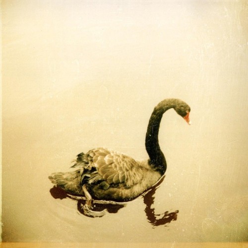 Crooked Fingers - Crooked Fingers (Reissue)