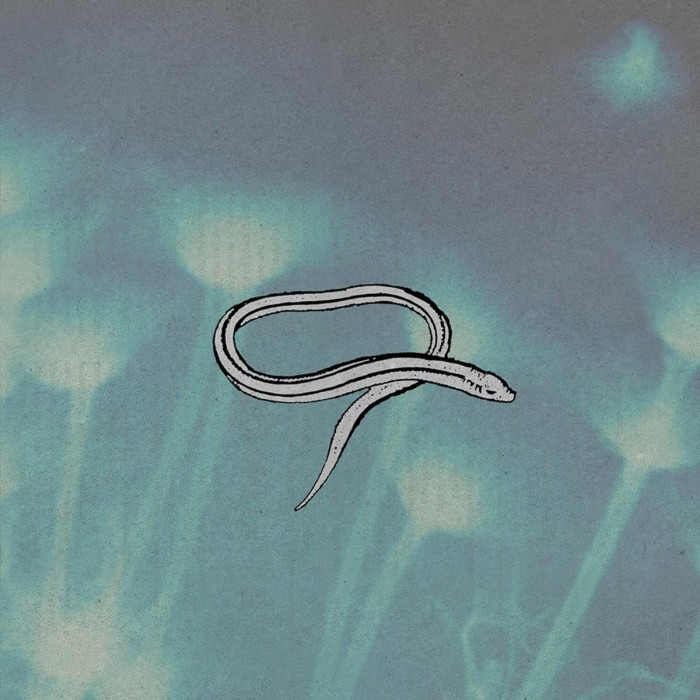 Crooked Fingers - Bring On The Snakes (Reissue)