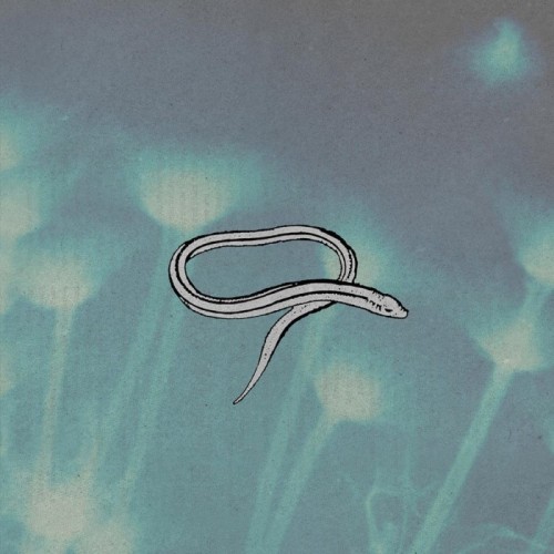Crooked Fingers - Bring On The Snakes (Reissue)
