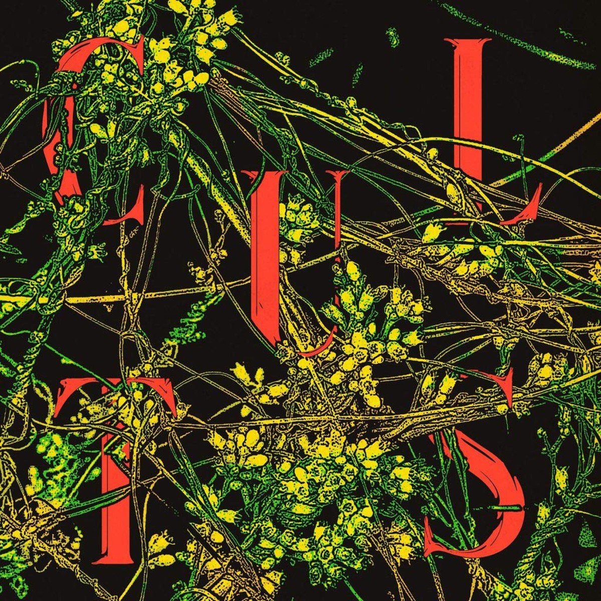 Cults - Host (Evergreen Vinyl)