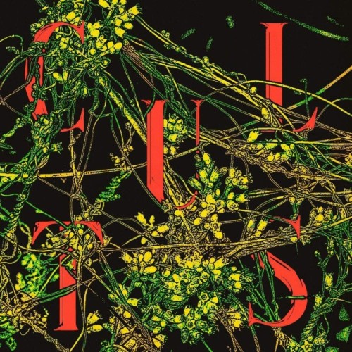 Cults - Host (Evergreen Vinyl)