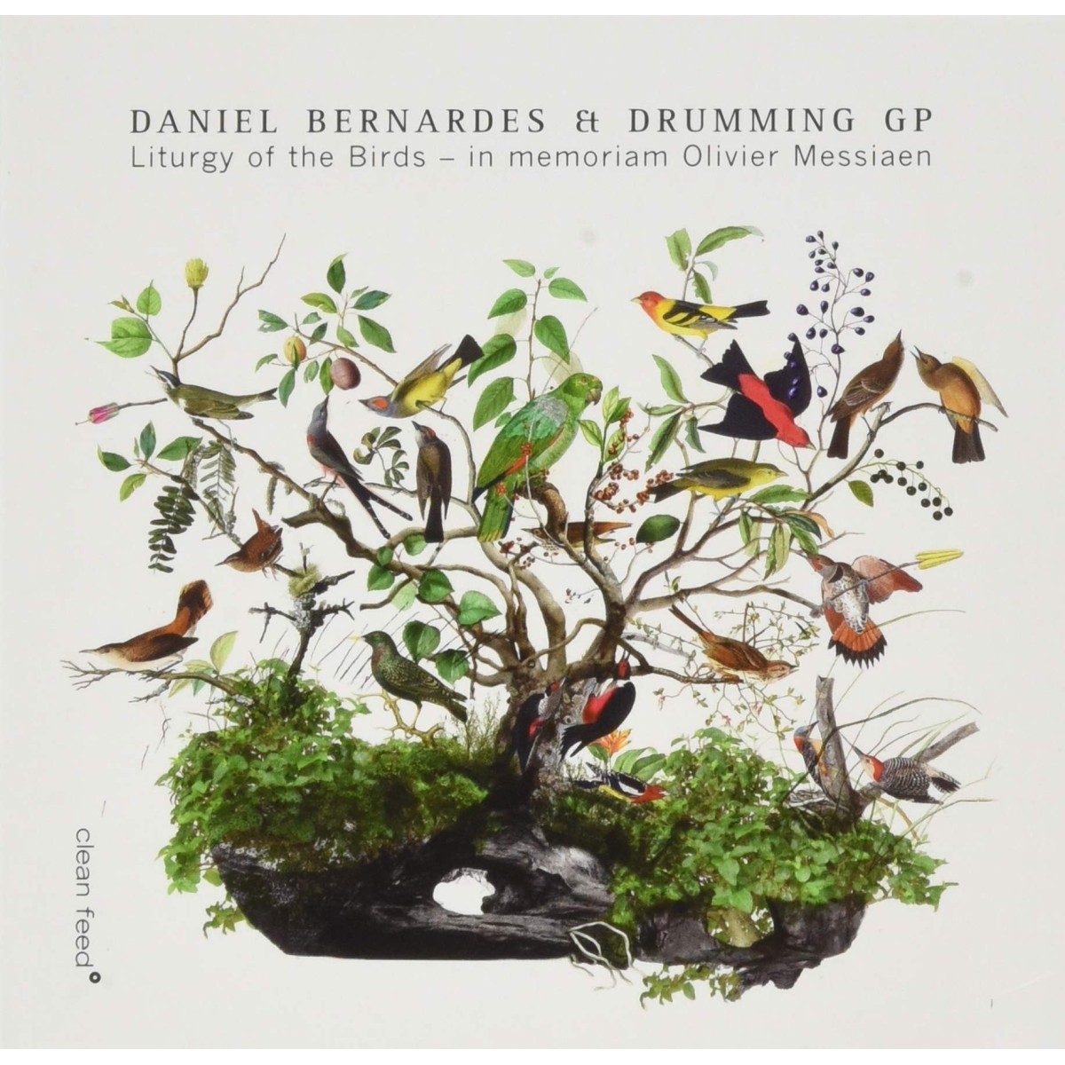 Daniel Bernardes & Drumming GP - Liturgy Of The Birds - In Memoriam Olivier Messiaen