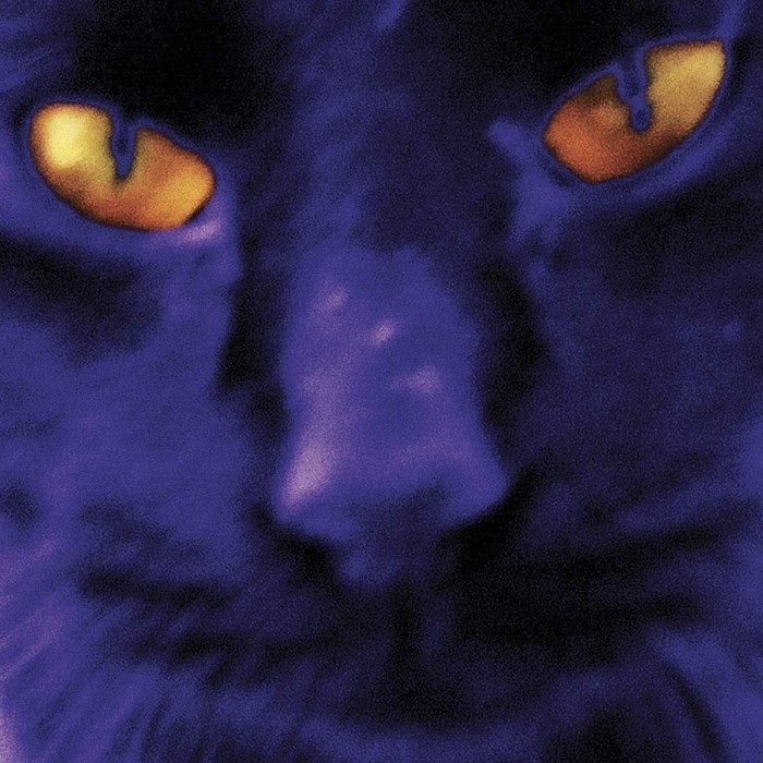 David Kilgour And The Heavy Heights - Bobbie's A Girl