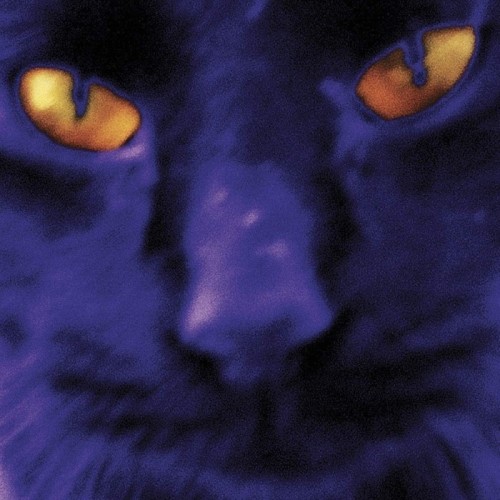 David Kilgour And The Heavy Heights - Bobbie's A Girl