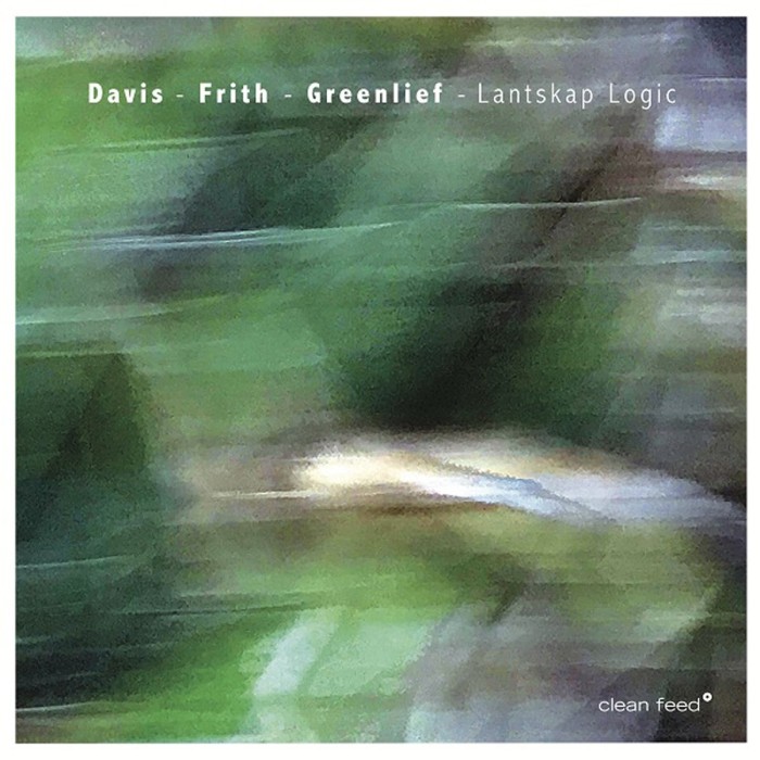 Evelyn Davis & Fred Frith & Phillip Greenlief - Lantskap Logic