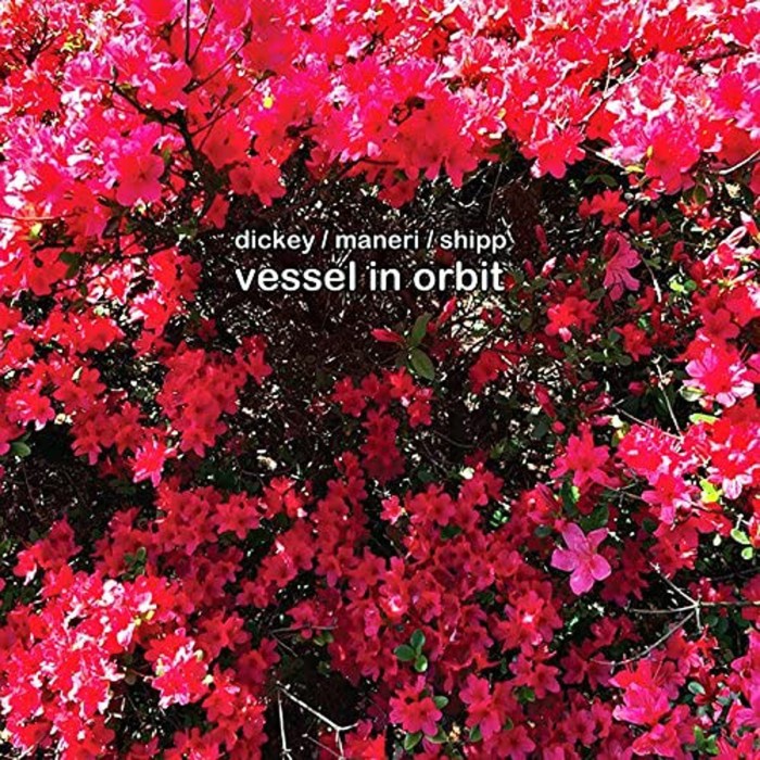 Whit Dickey & Mat Maneri & Matthew Shipp - Vessel In Orbit