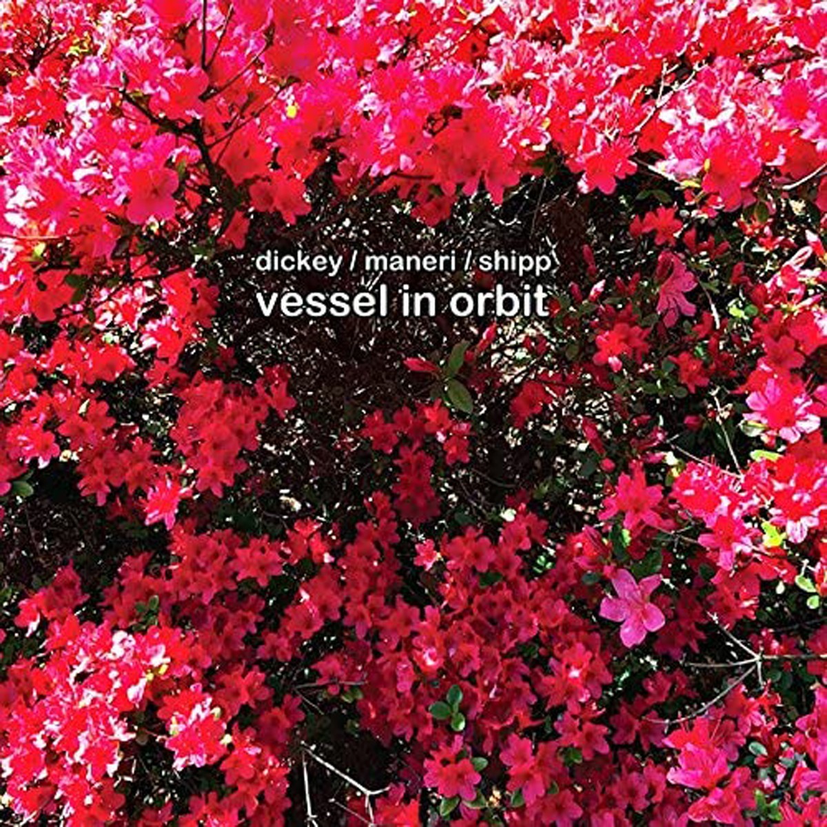 Whit Dickey & Mat Maneri & Matthew Shipp - Vessel In Orbit