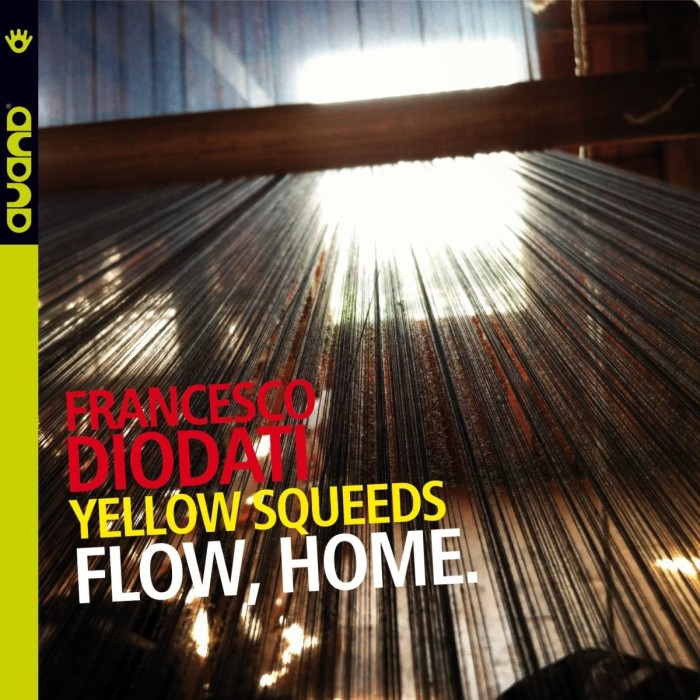 Francesco Diodati - Flow, Home