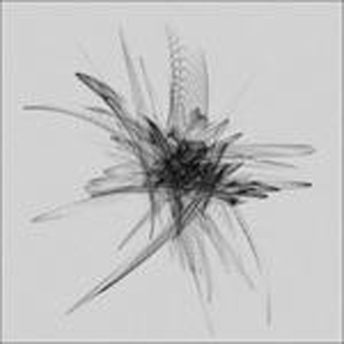 Ricardo Donoso - Quintesence