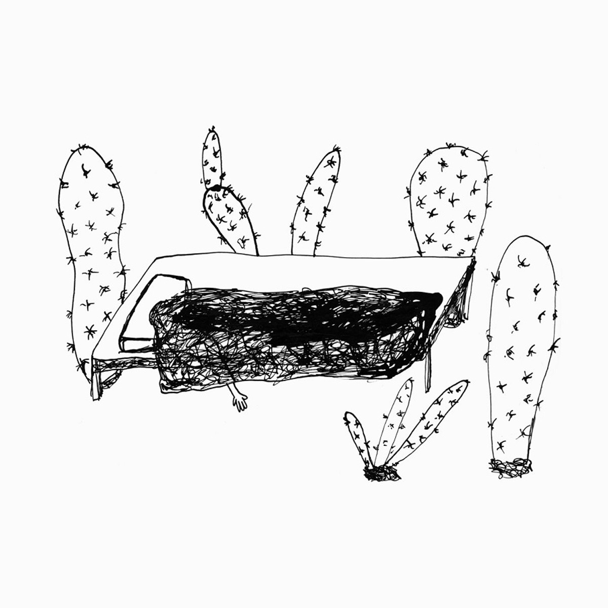 Magda Drozd - Songs For Plants