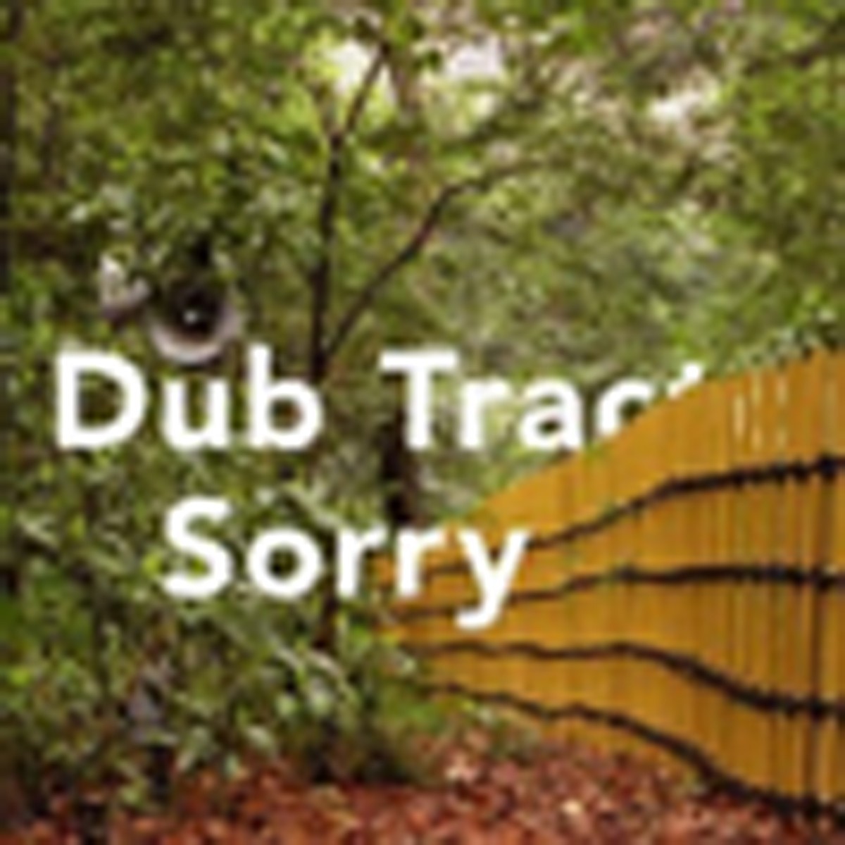 Dub Tractor - Sorry