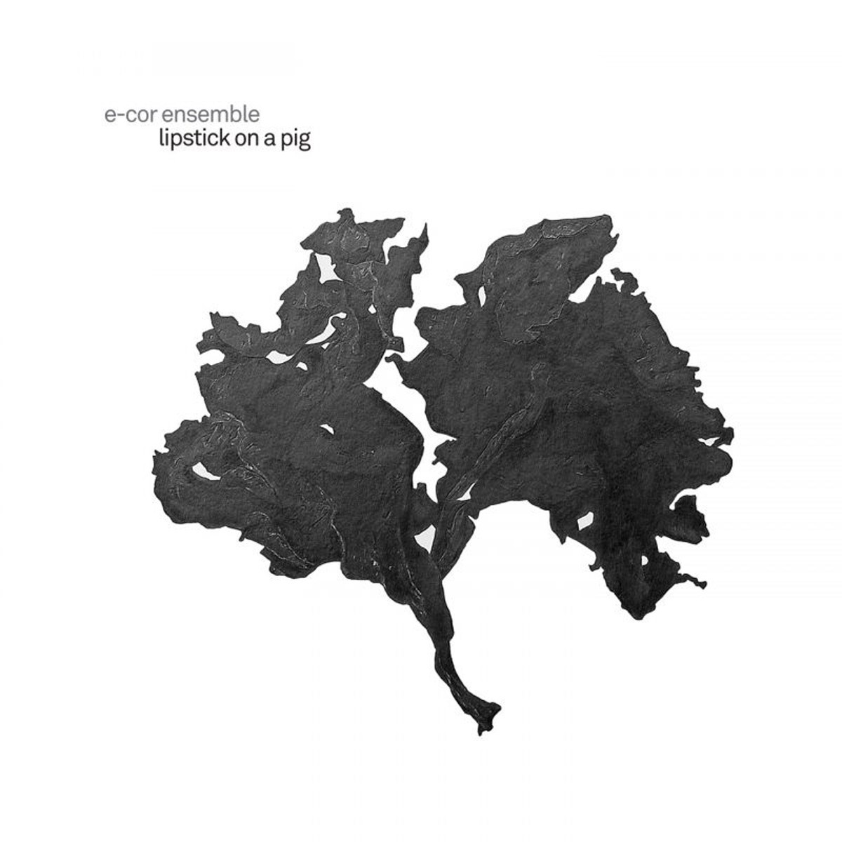 E-Cor Ensemble - Lipstick On A Pig