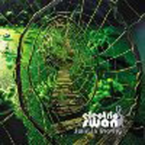 Electric Swan - Swirl In Gravity