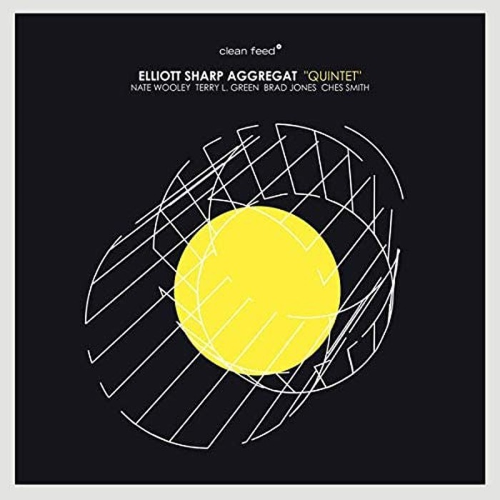 Elliott Sharp Aggregat - Quintet