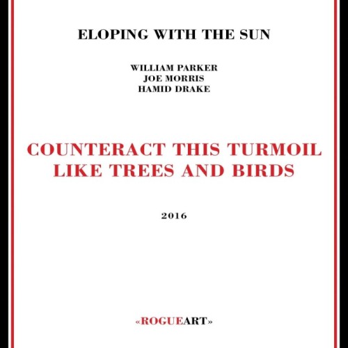 William Parker & Joe Morris & Hamid Drake - Counteract This Turmoil Like Trees And Birds