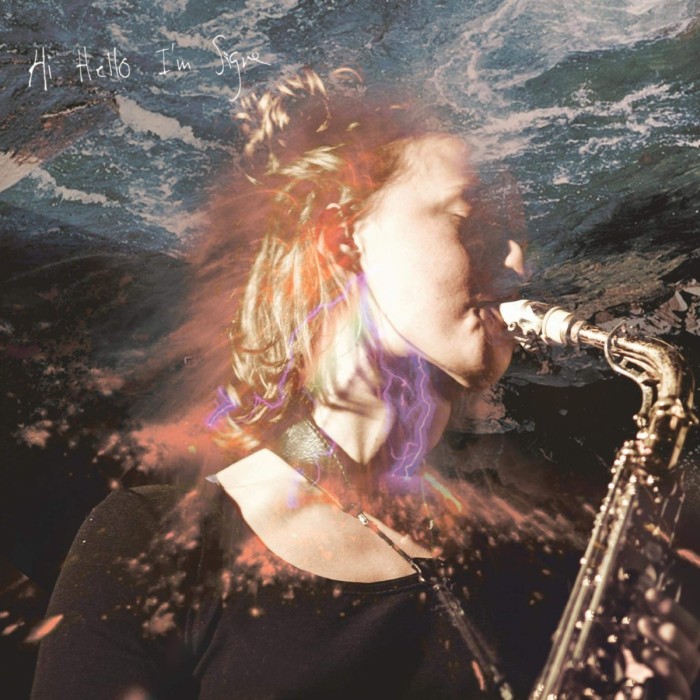 Signe Emmeluth - Hi Hello I'm Signe