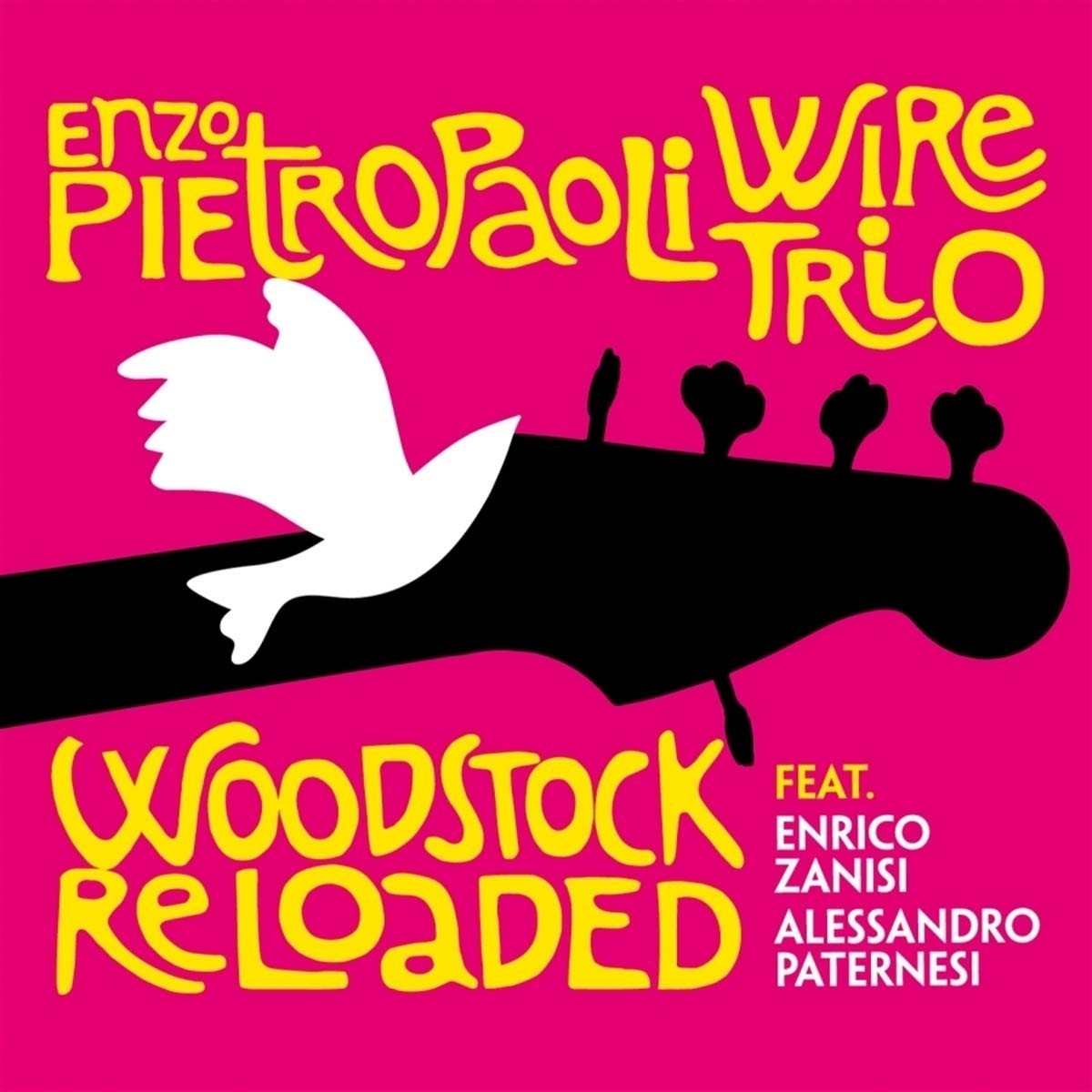 Enzo Pietropaoli Wire Trio - Woodstock Reloaded