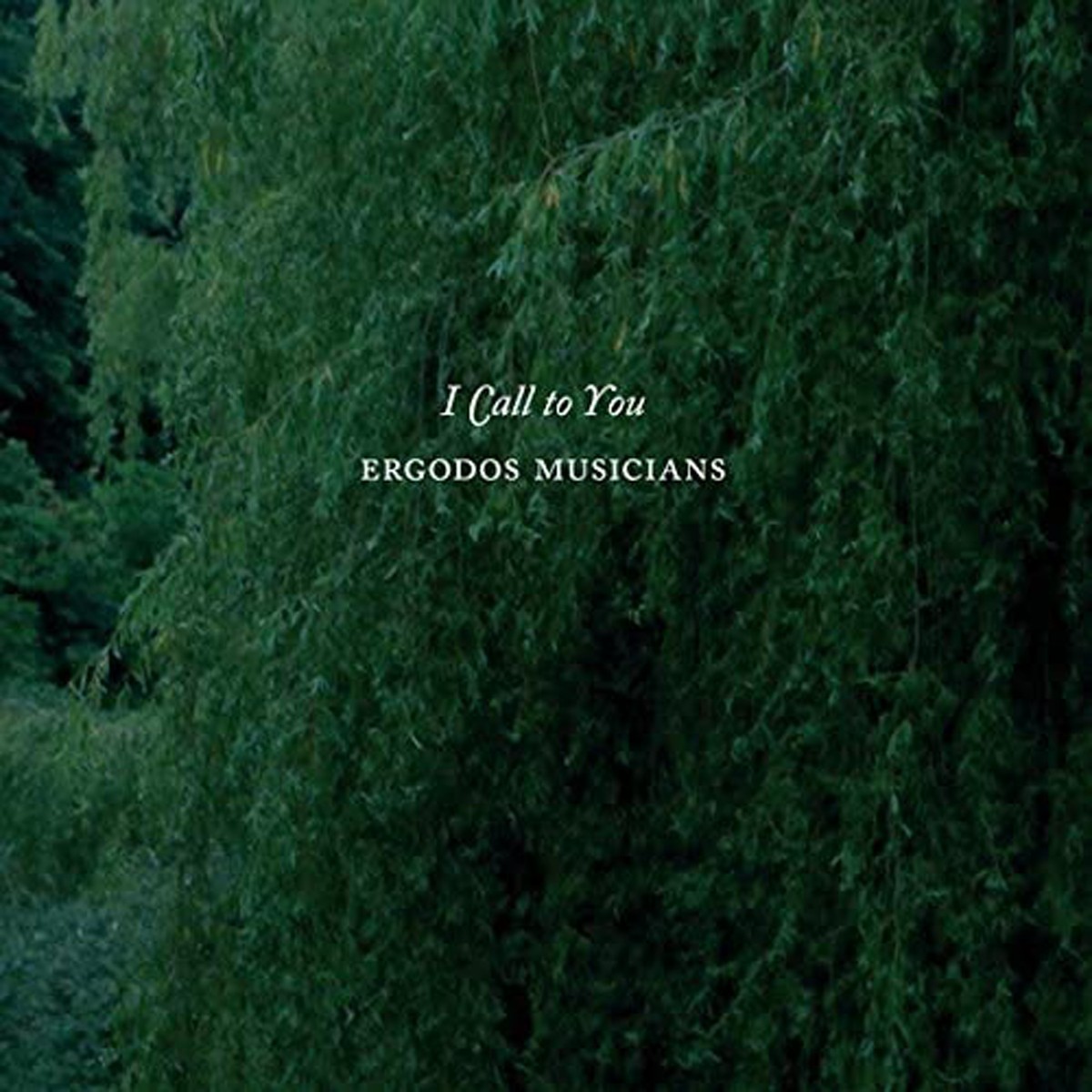 Ergodos Musicians - I Call To You