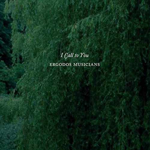 Ergodos Musicians - I Call To You