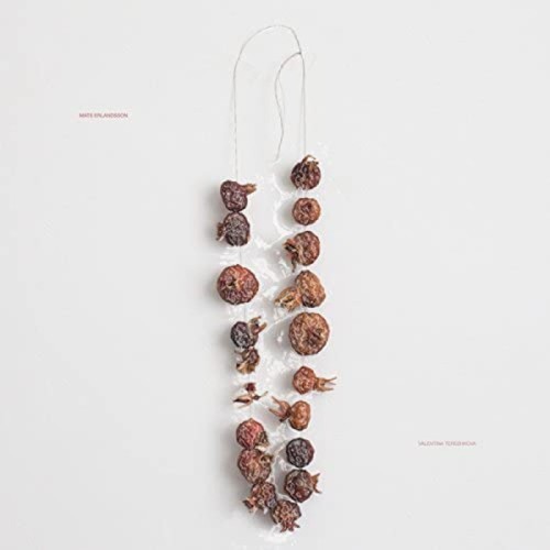 Mats Erlandsson - Valentina Tereshkova