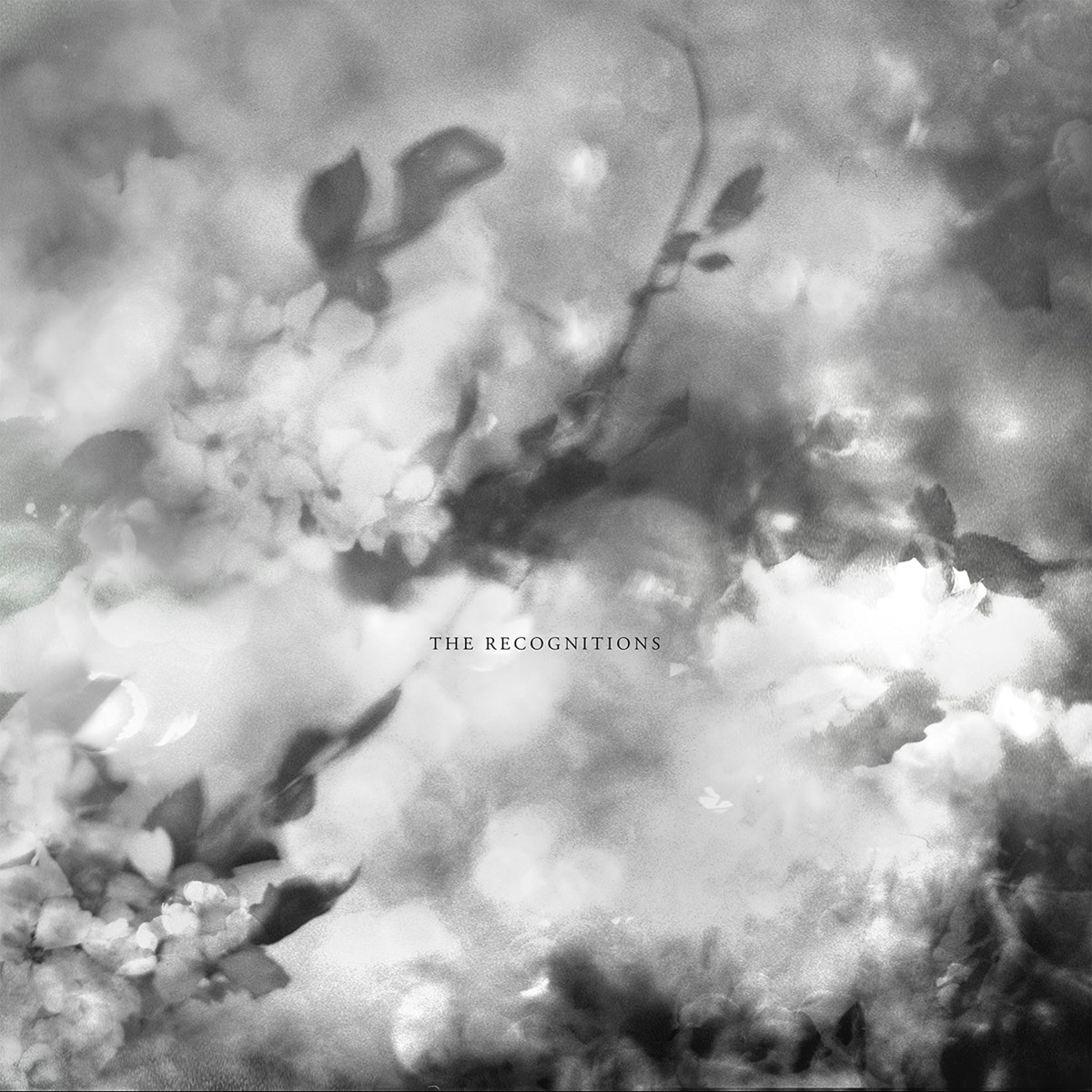 Exitmusic - Recognitions