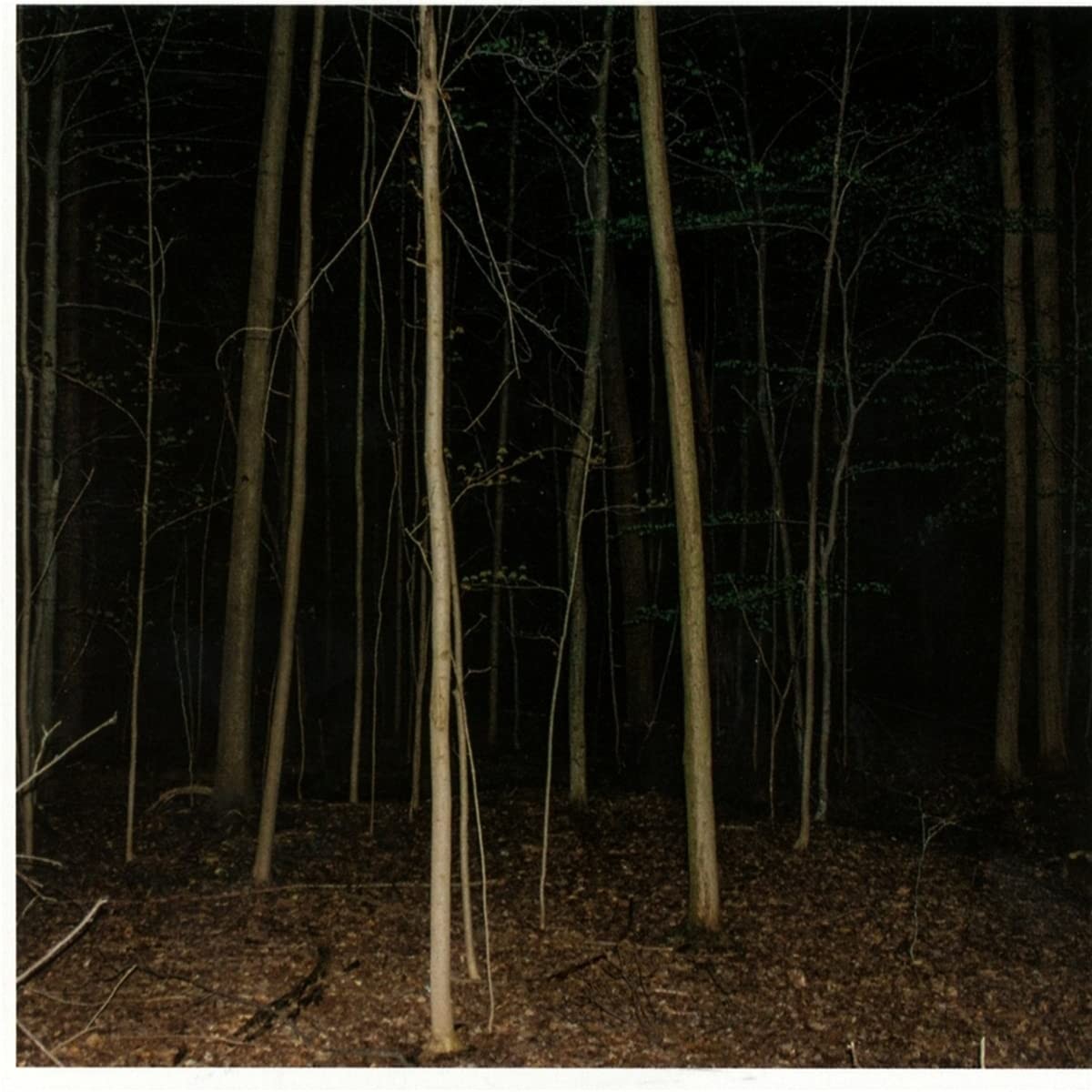 Express Rising - Fixed Rope II
